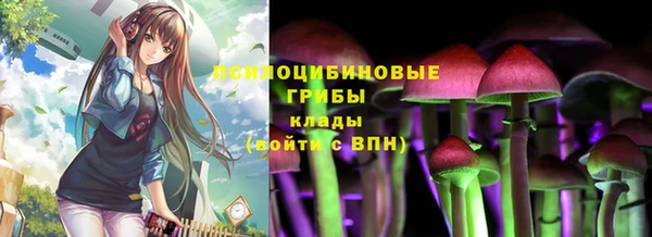 трава Балахна