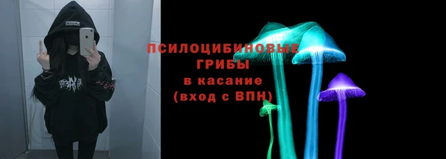 трава Балахна