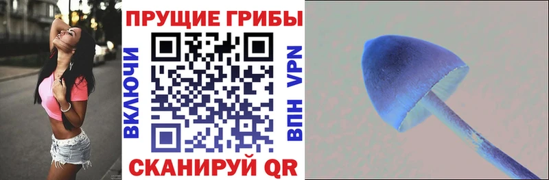 площадка телеграм  Красный Холм  Галлюциногенные грибы Psilocybine cubensis 