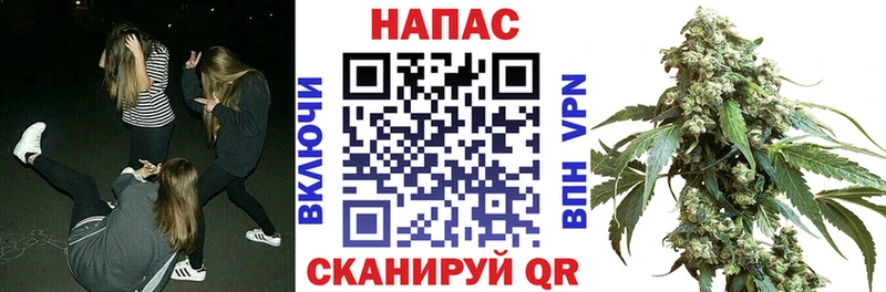 Бошки Шишки Ganja  mega ССЫЛКА  Красный Холм 